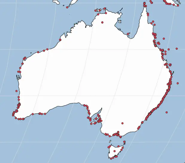 Shark attacks in Australia