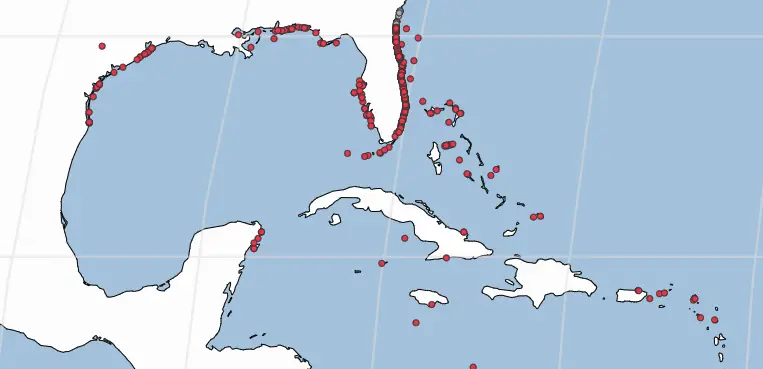 shark attacks in the Caribbean