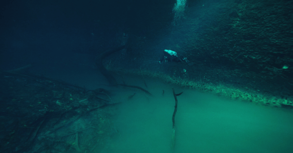 Scuba Diving Cenote Angelita: Experiencing Underwater Rivers
