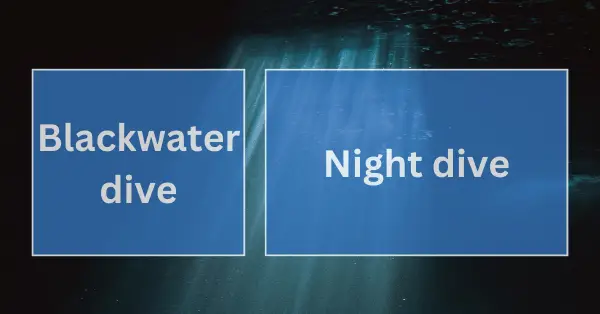 blackwater dive vs night diving