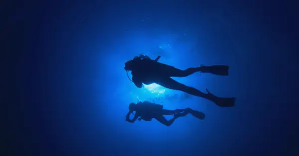 blackwater diving in the open ocean
