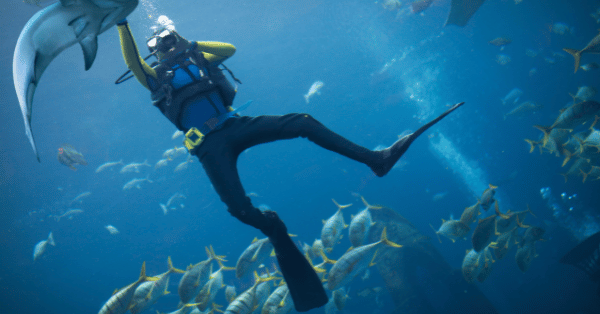 What Could Go Wrong: Avoid these Bad Diving Disasters
