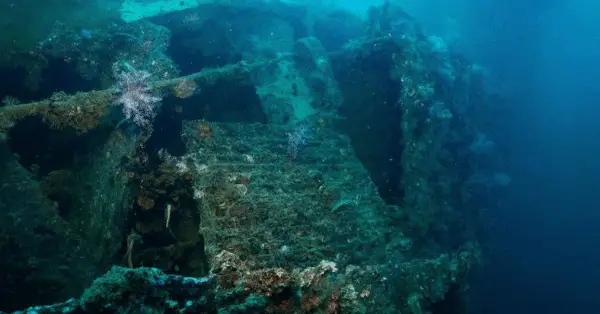 king cruiser shipwreck